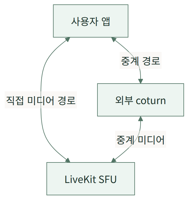 앱과 LiveKit 사이의 직접 경로 및 외부 coturn 중계 경로